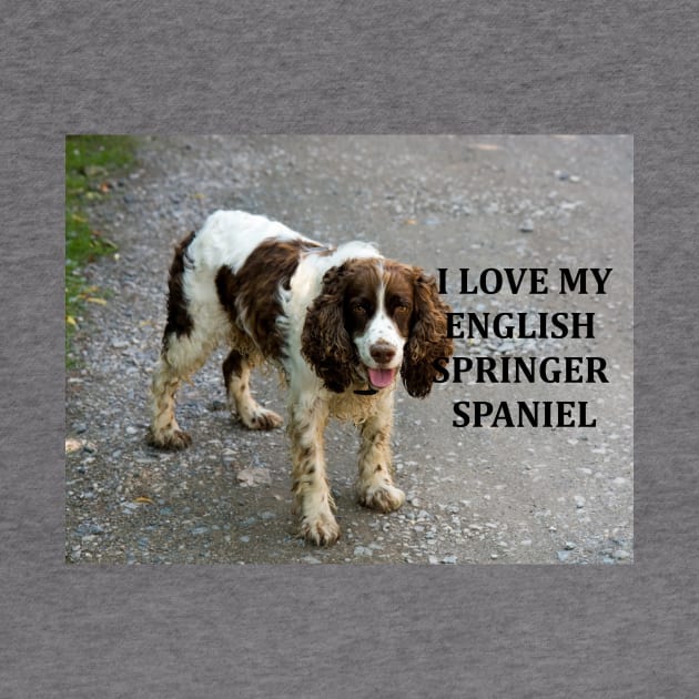 I love my english springer spaniel liver white with picture by Wanderingangel